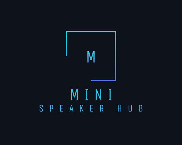 Mini Speaker Hub